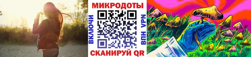 ссылка на мегу tor  Таштагол  Псилоцибиновые грибы мухоморы 